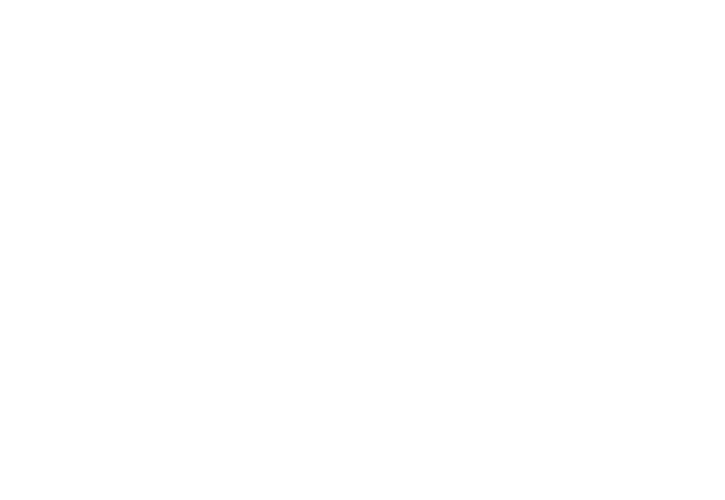 adidas reverse logo